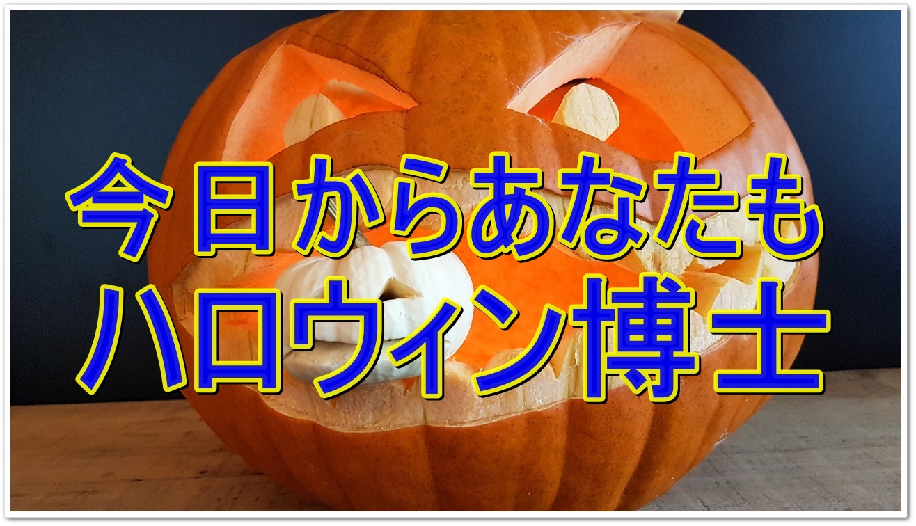 ハロウィンの由来を簡単解説 子供向けに説明するポイントは こっころ